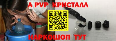 стафф Гатчина
