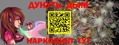 стафф Гатчина
