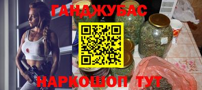 стафф Гатчина