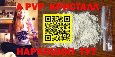 стафф Гатчина