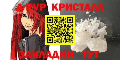 стафф Гатчина