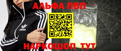стафф Гатчина