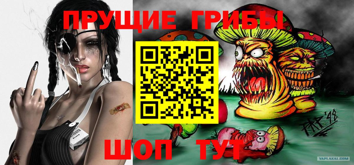 Псилоцибиновые грибы Cubensis  Вход с VPN  Мелеуз 